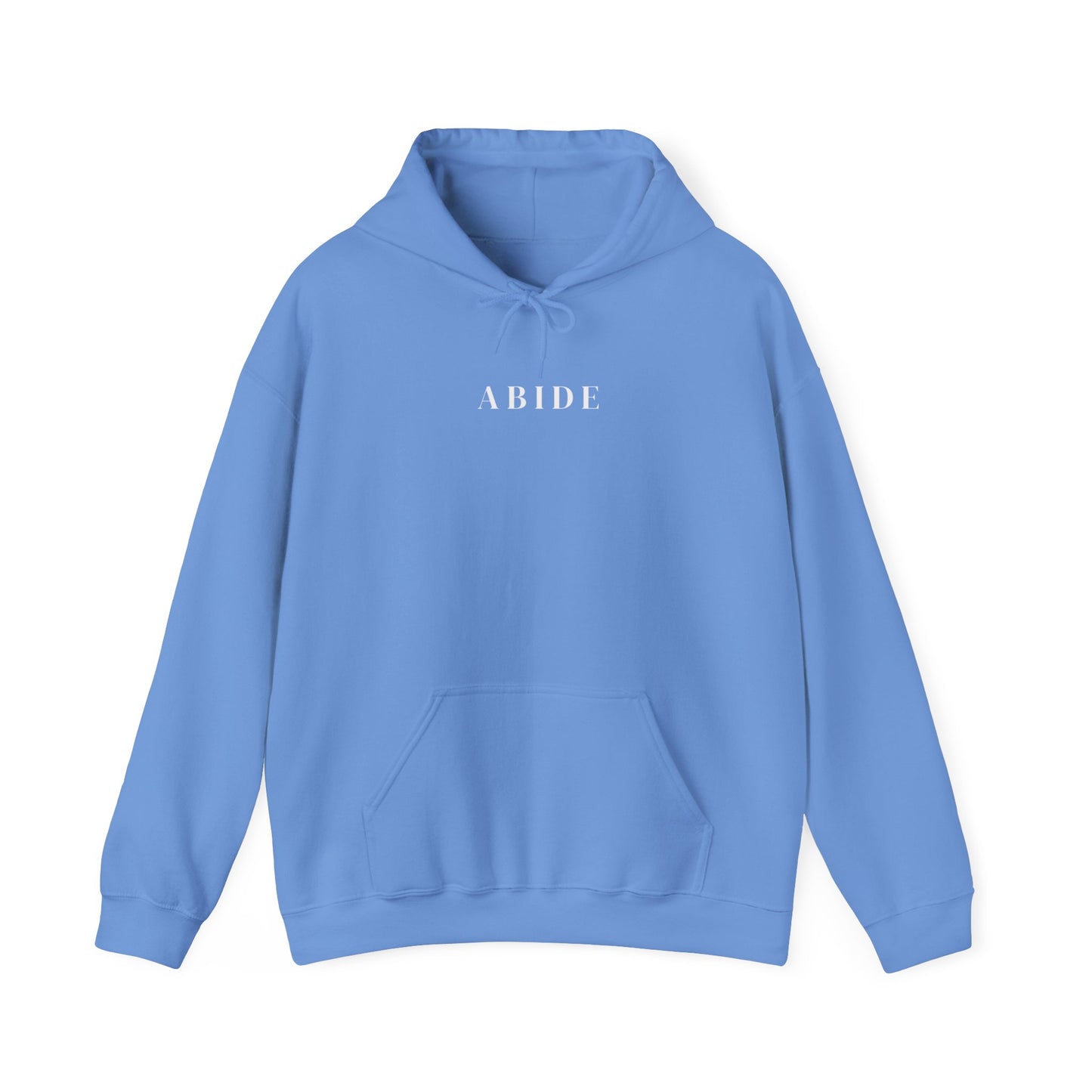 Abide Hoodie - Abide In Christ Hooded Sweater