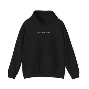 Jesus is King Hoodie -Jesus Hoodie