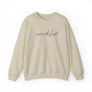 Trust in the Lord Christian Sweatshirt - Soar on Wings Like Eagles - Isaiah 40:31