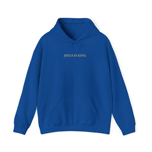 Jesus is King Hoodie -Jesus Hoodie